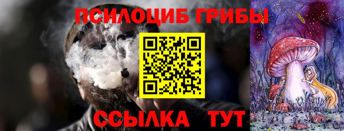 Псилоцибиновые грибы Psilocybe  Вход с VPN  Владивосток 